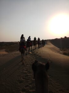 Gallery - Dhyanam India Tours