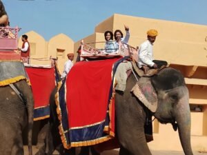 Gallery - Dhyanam India Tours