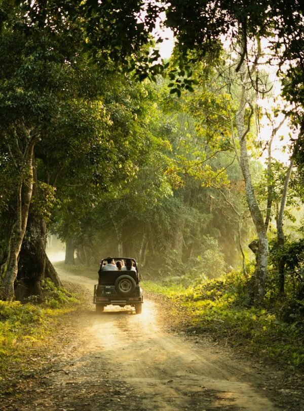 jeep-safari