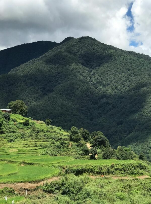 punakha