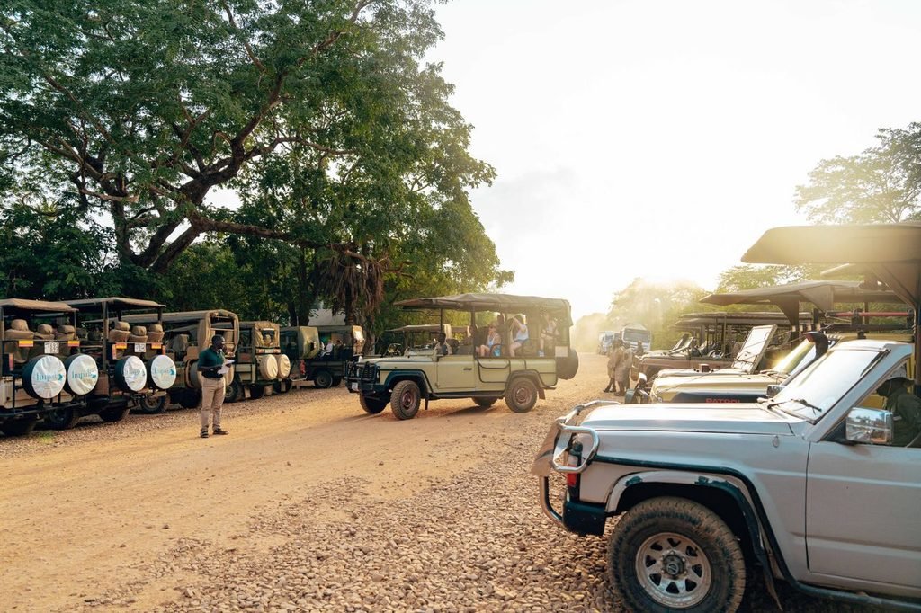 Jeep Safari Jaipur Travel Guide
